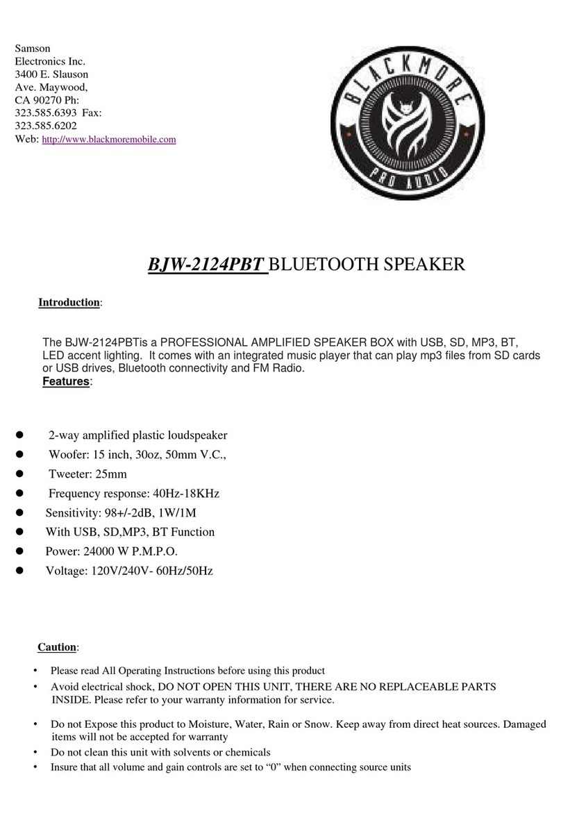 BLACKMORE BJW-2124PBT manual