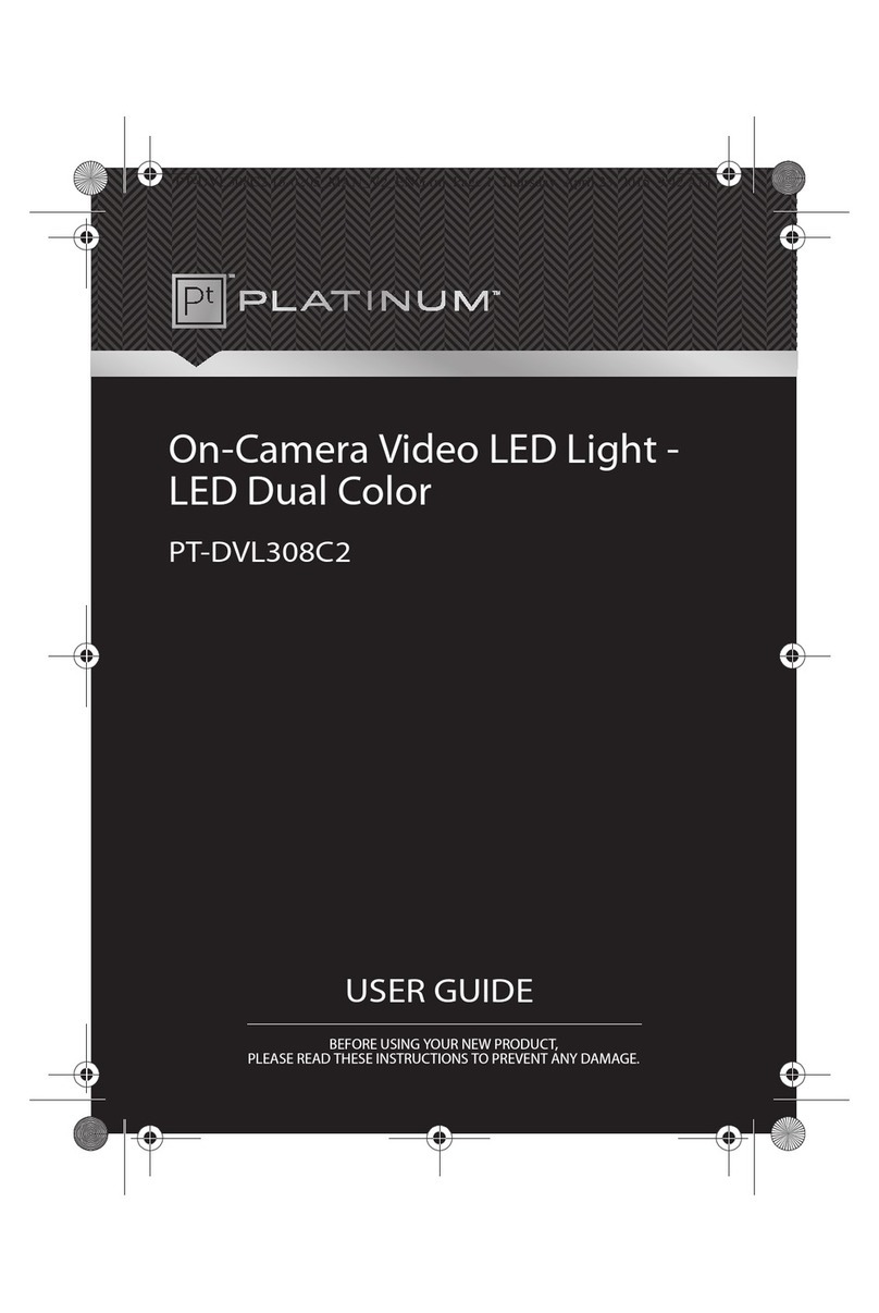 Platinum PT-DVL308C2 user guide