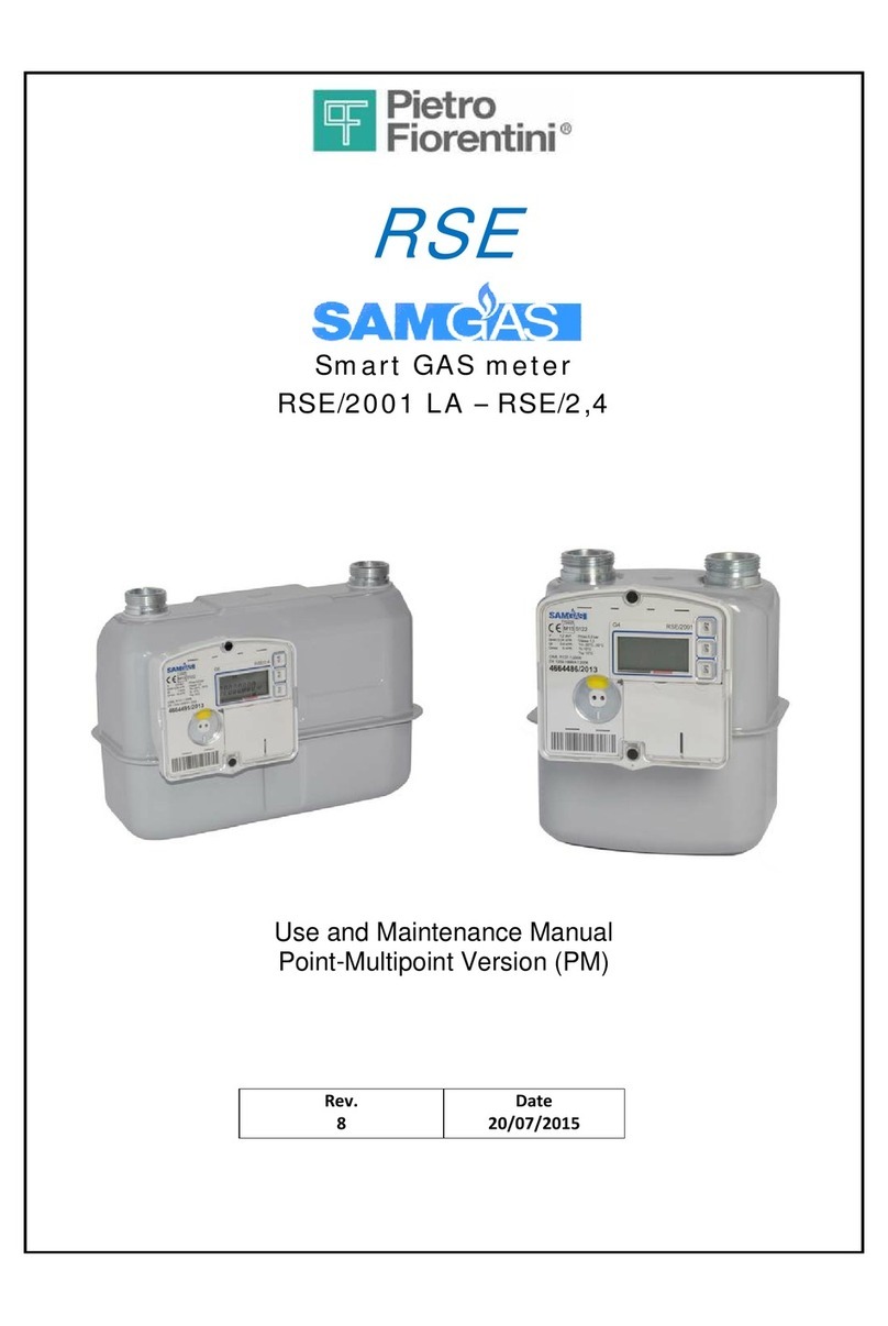 PIETRO FIORENTINI RSE/2,4 User manual