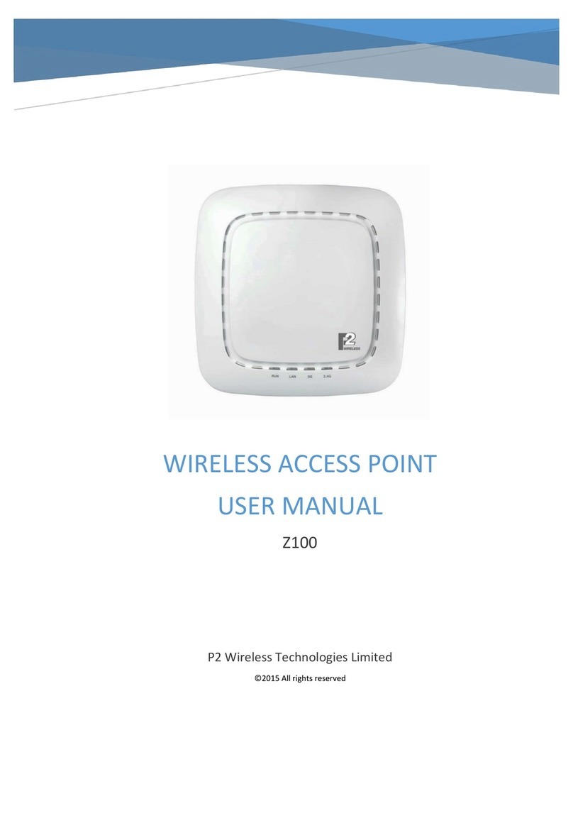 P2 Wireless Technologies Z100 user manual P2 Wireless Technologies Z100 user manual