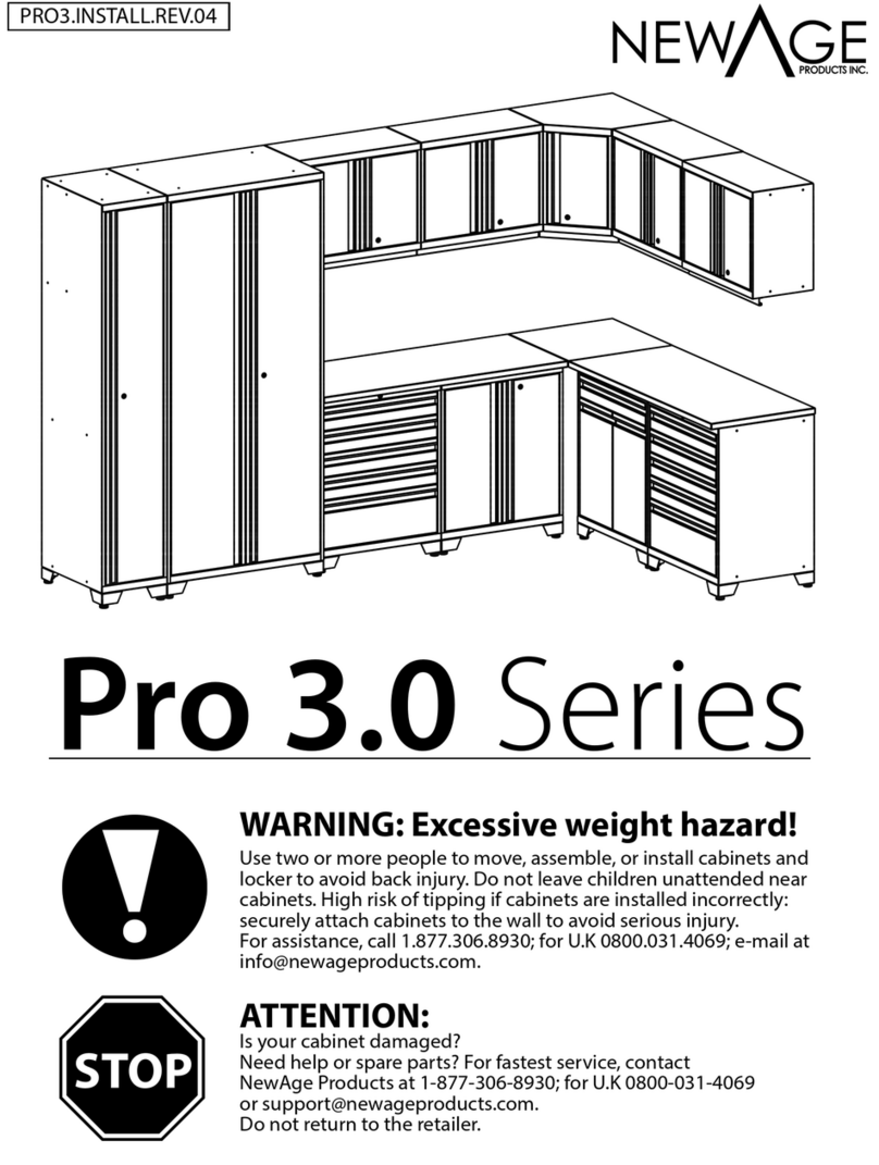 New Age Pro 3.0 Series User manual