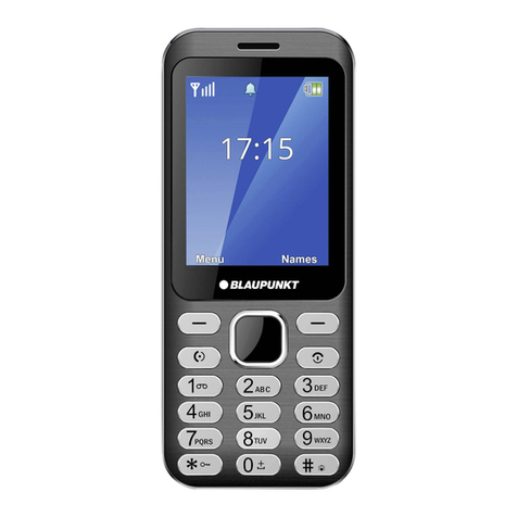 Blaupunkt FL 02 User manual