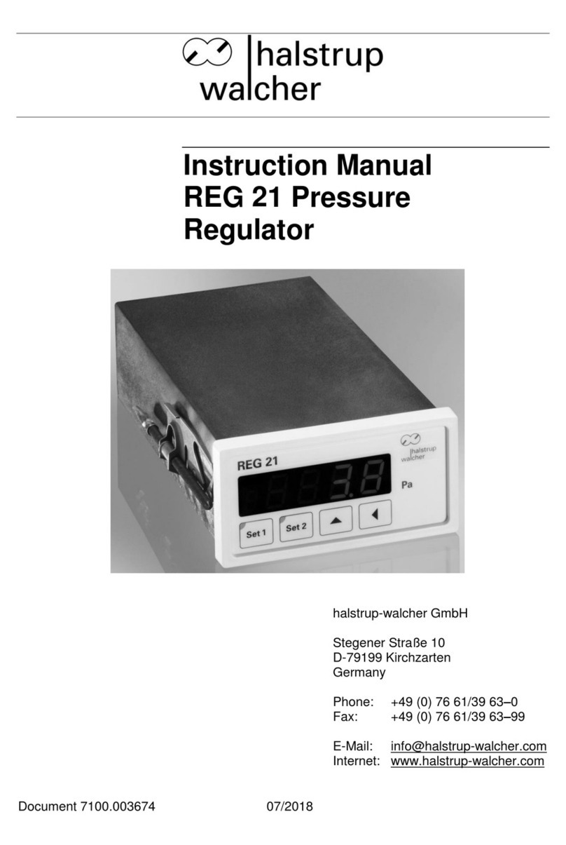halstrup-walcher REG 21 instruction manual