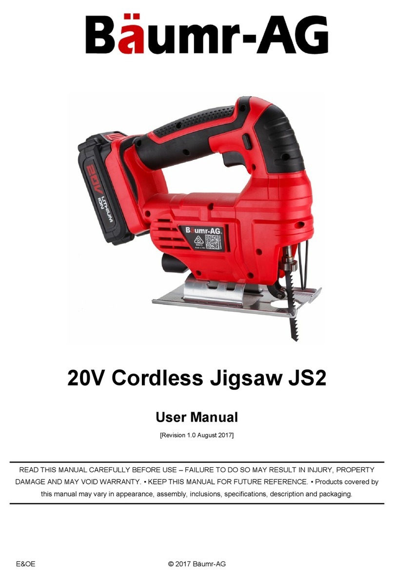 Baumr-AG JS2 user manual