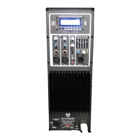 BLACKMORE BJW-2118PBT User manual