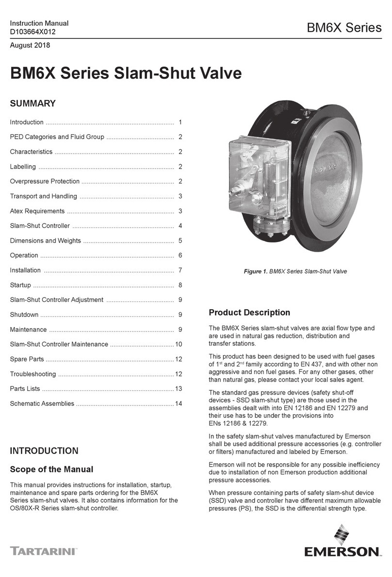 Emerson BM6X Series User manual