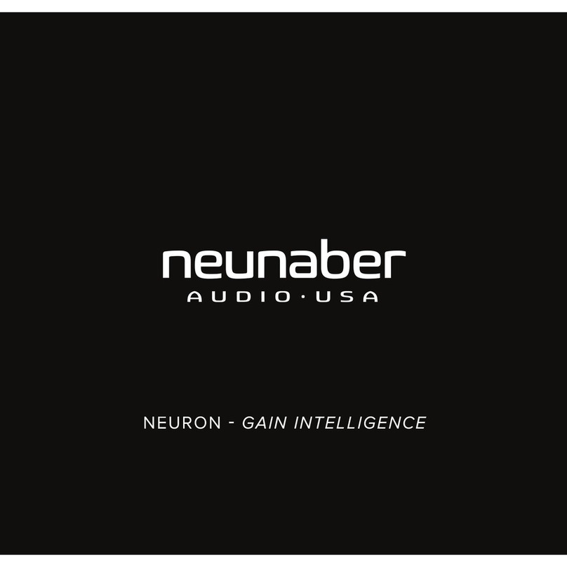 Neunaber NEURON user guide