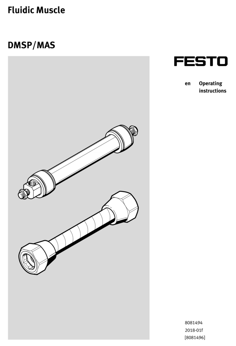 Festo DMSP Series User manual