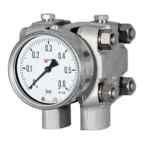 FISCHER DA01 VUW ATEX User manual