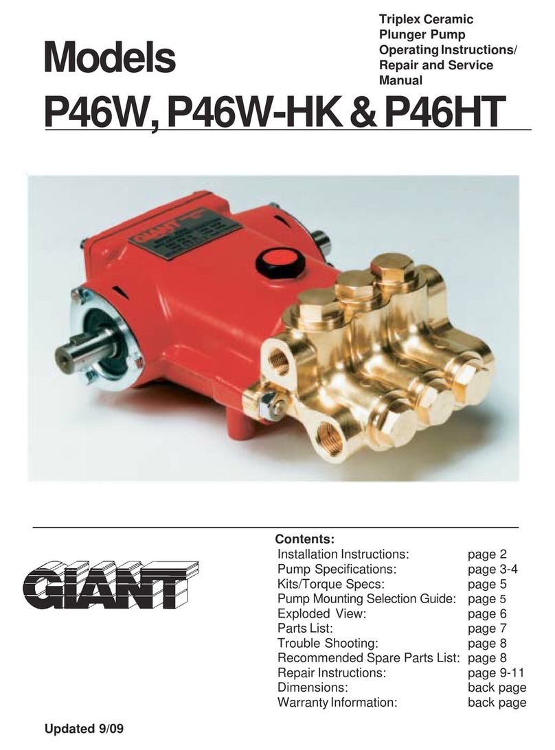 Giant P46W-HK User manual