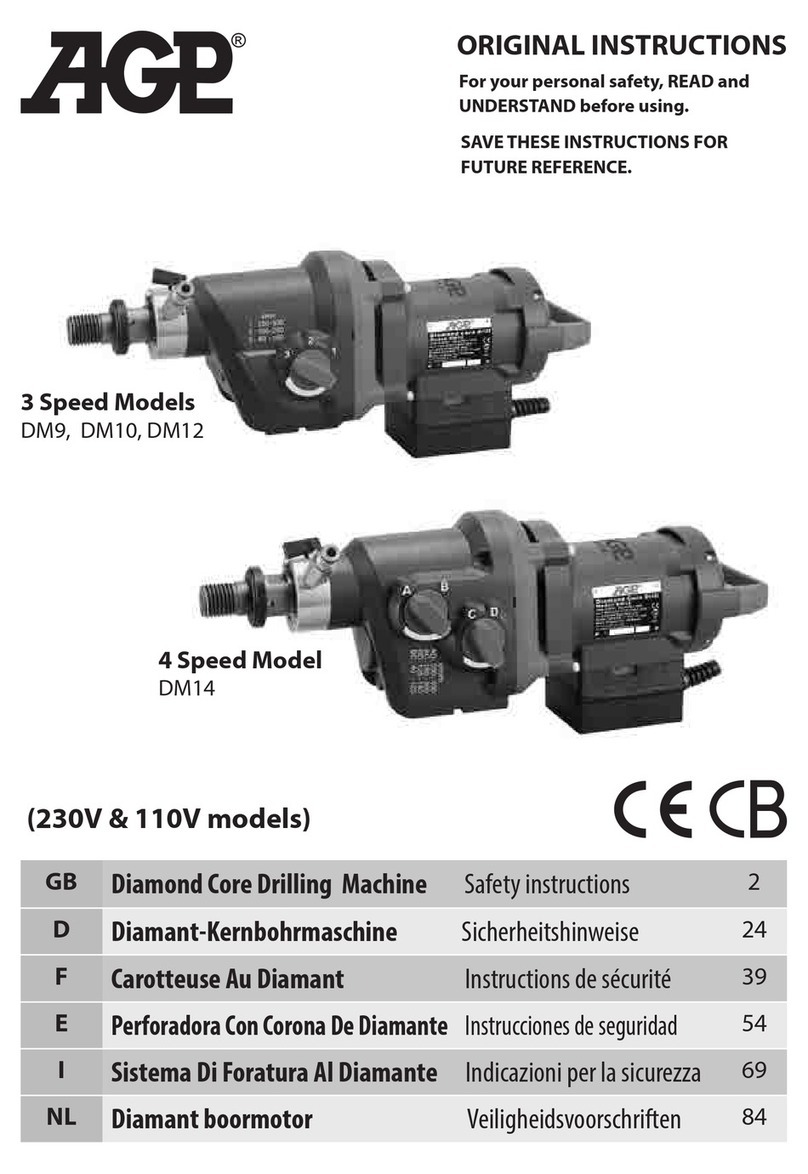 AGP DM10 Original instructions