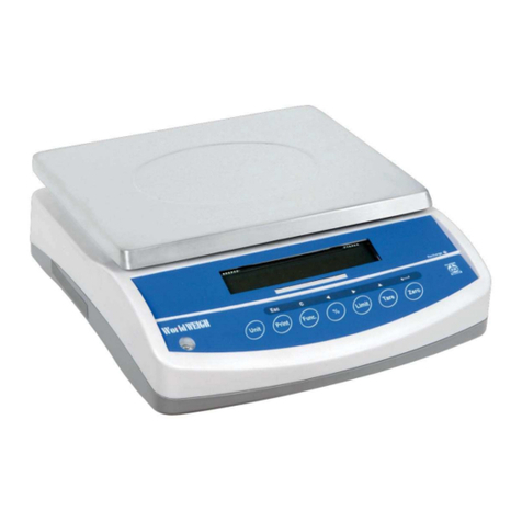 WorldWEIGH B 100 Use and maintenance manual