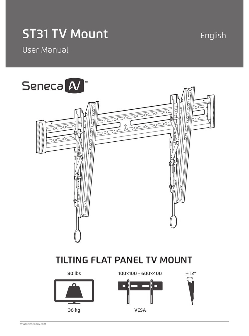 Seneca AV ST31 user manual