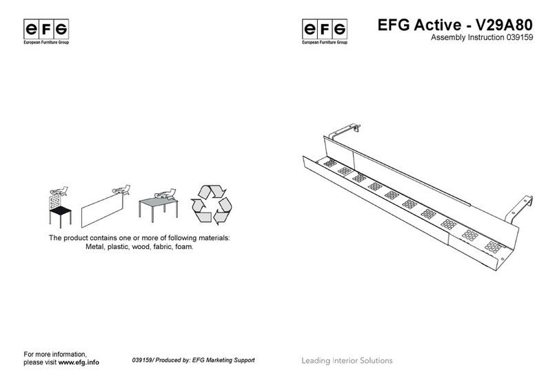 EFG V29A80 User manual