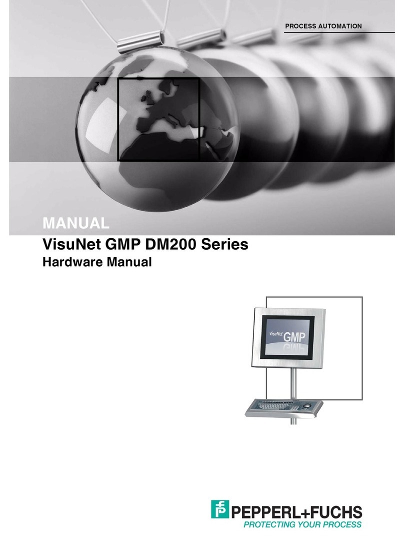 Pepperl+Fuchs VisuNet GMP DM200 Series User manual