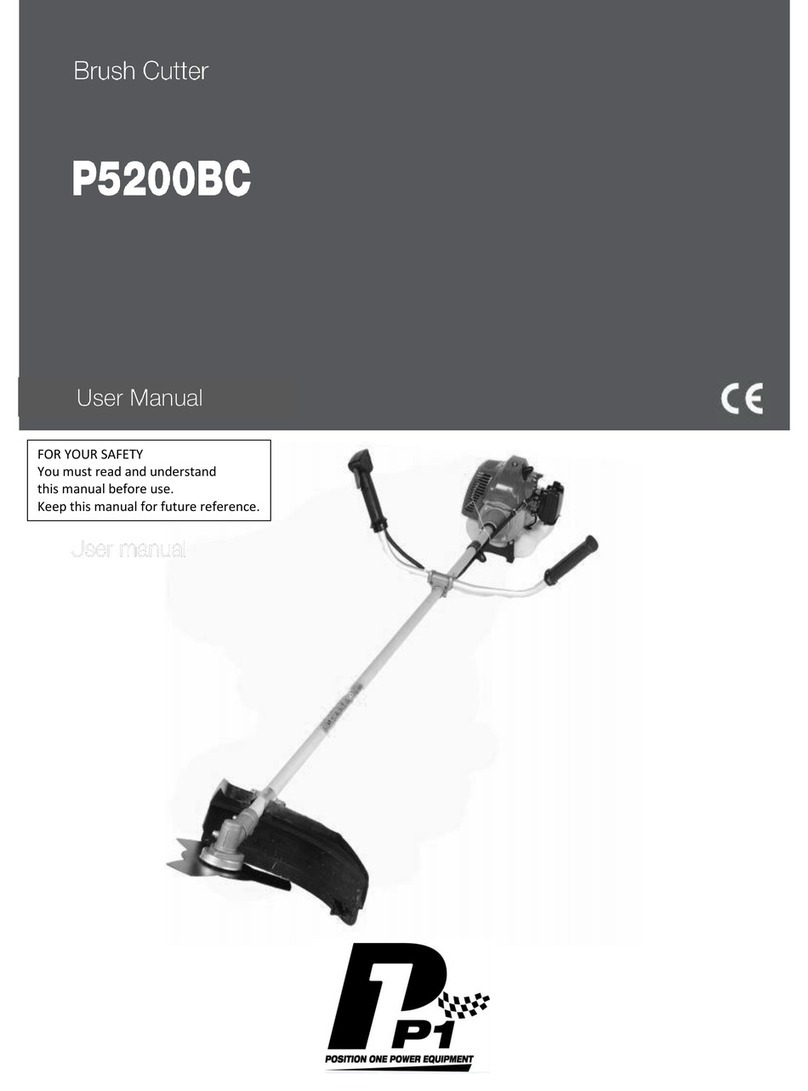 P1PE P5200BC user manual