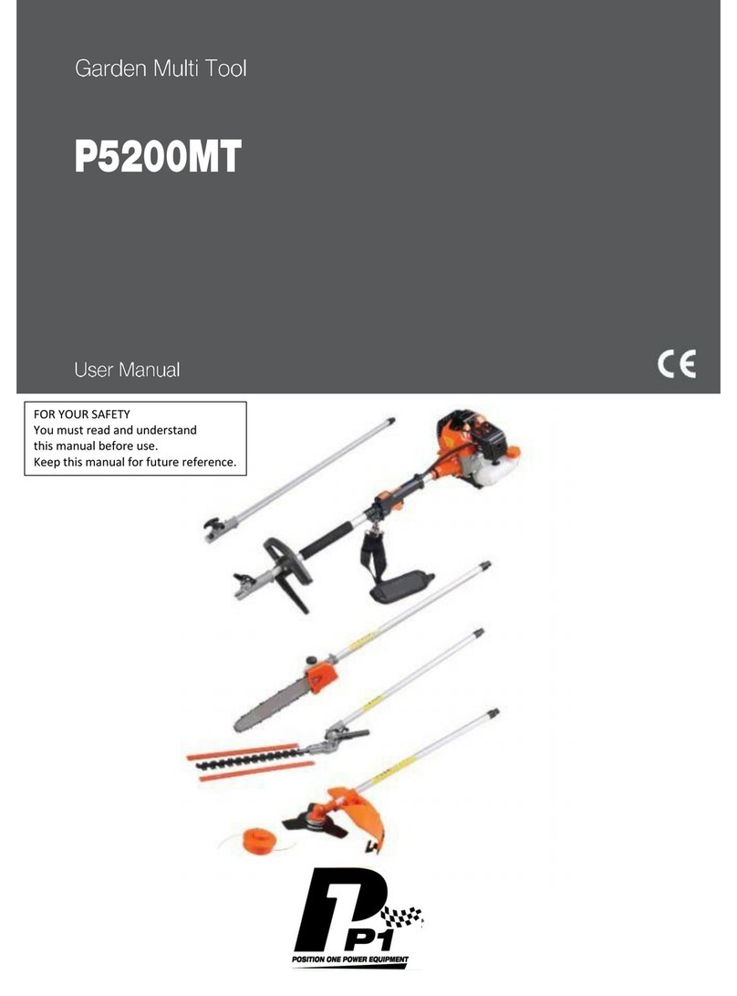 P1PE P5200MT User manual