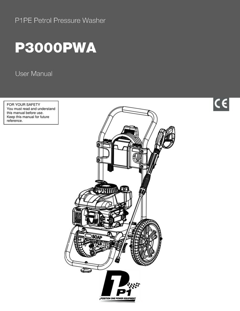P1PE P3000PWA user manual