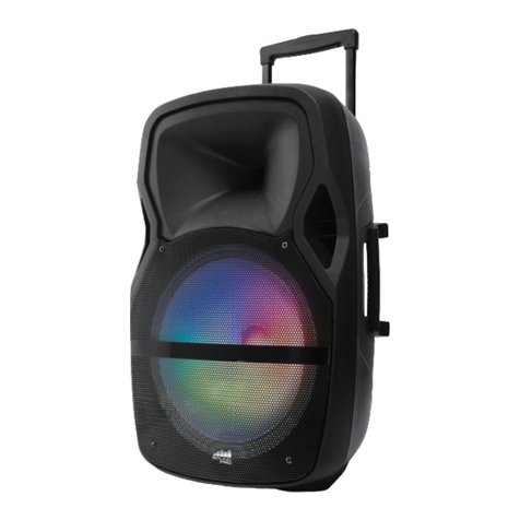 Sound Pro NDS-1503 instruction manual