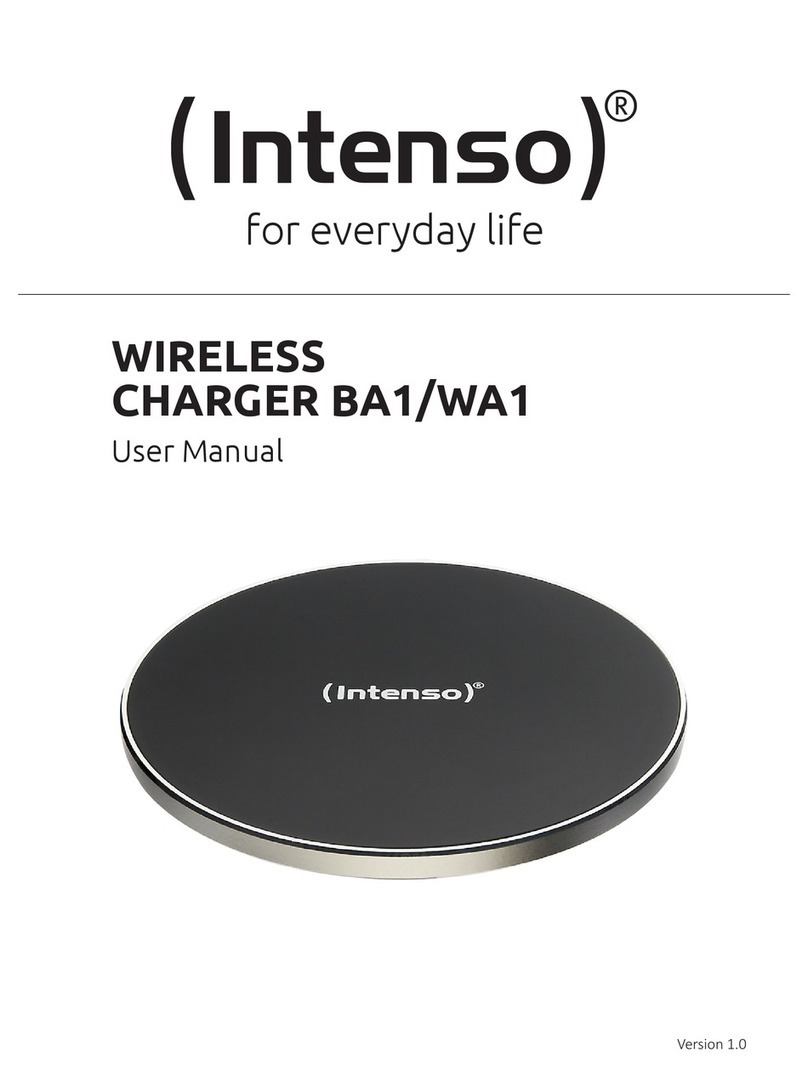 Intenso BA1 user manual