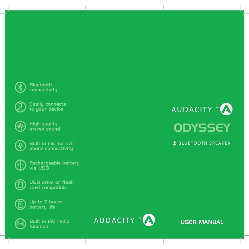 Audacity Odyssey user manual