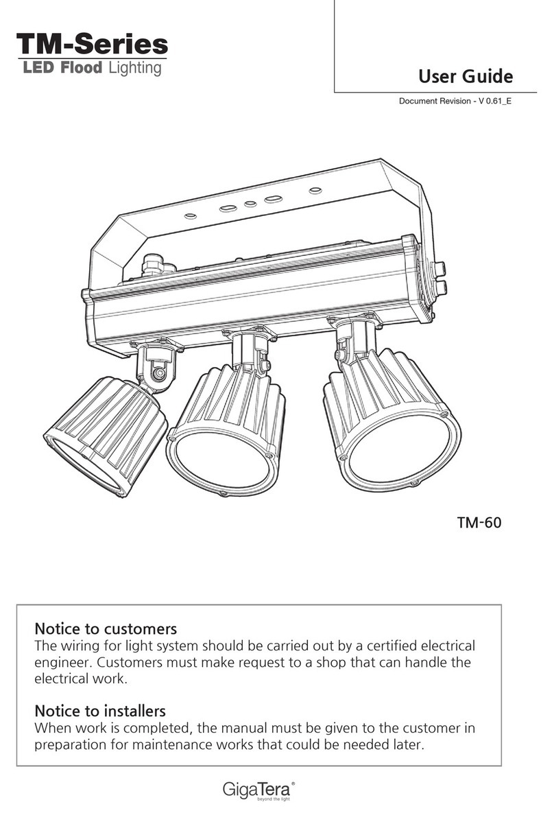 GigaTera TM Series User manual