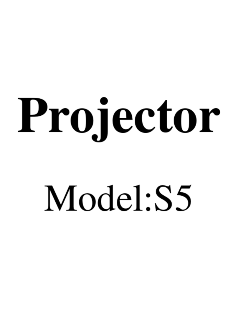 Shenzhen DADAO Technology MINI PROJETOR S5 User manual