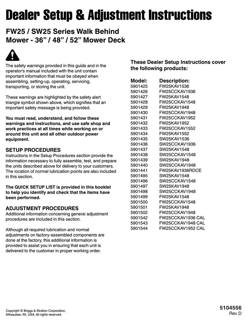 Briggs & Stratton FW25 series Manual