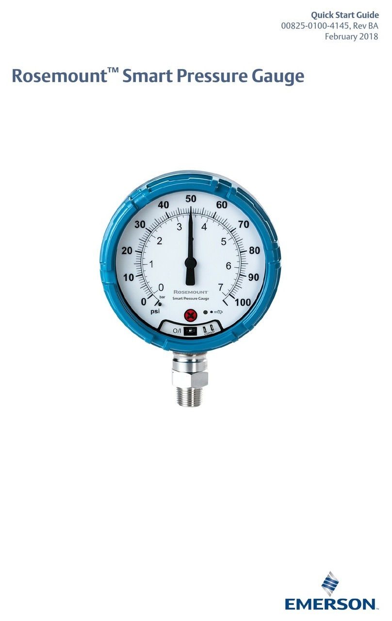 Emerson Rosemount WPG User manual