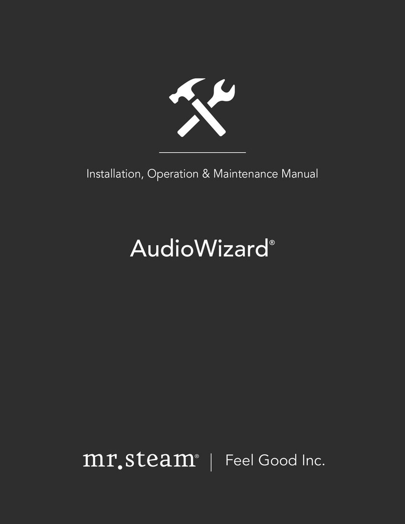mr. steam AudioWizard Installation, operation & maintenance manual