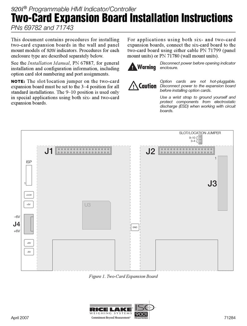 Rice Lake 920i Series User manual