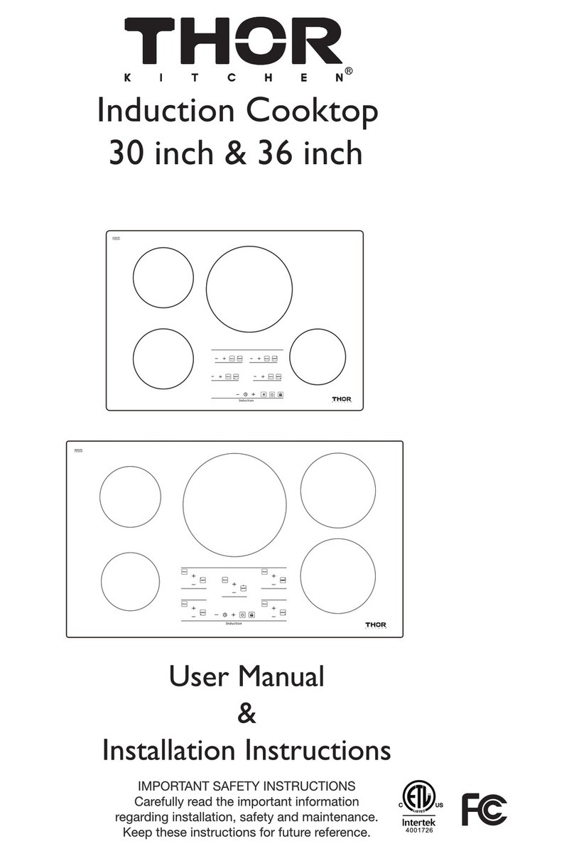 THOR HIC3001 Manual