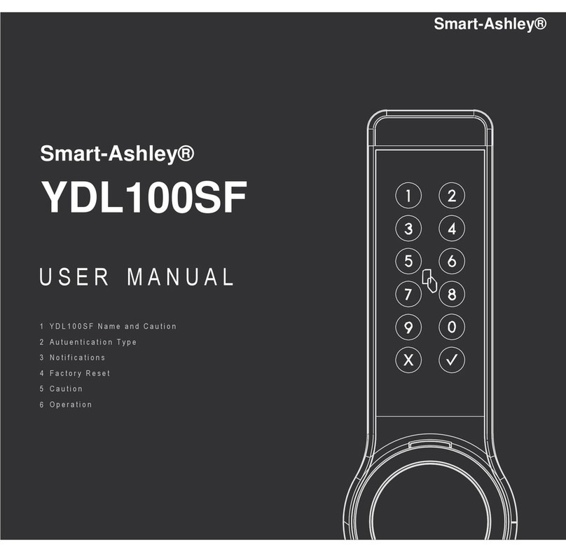 Smart-Ashley YDL100SF user manual