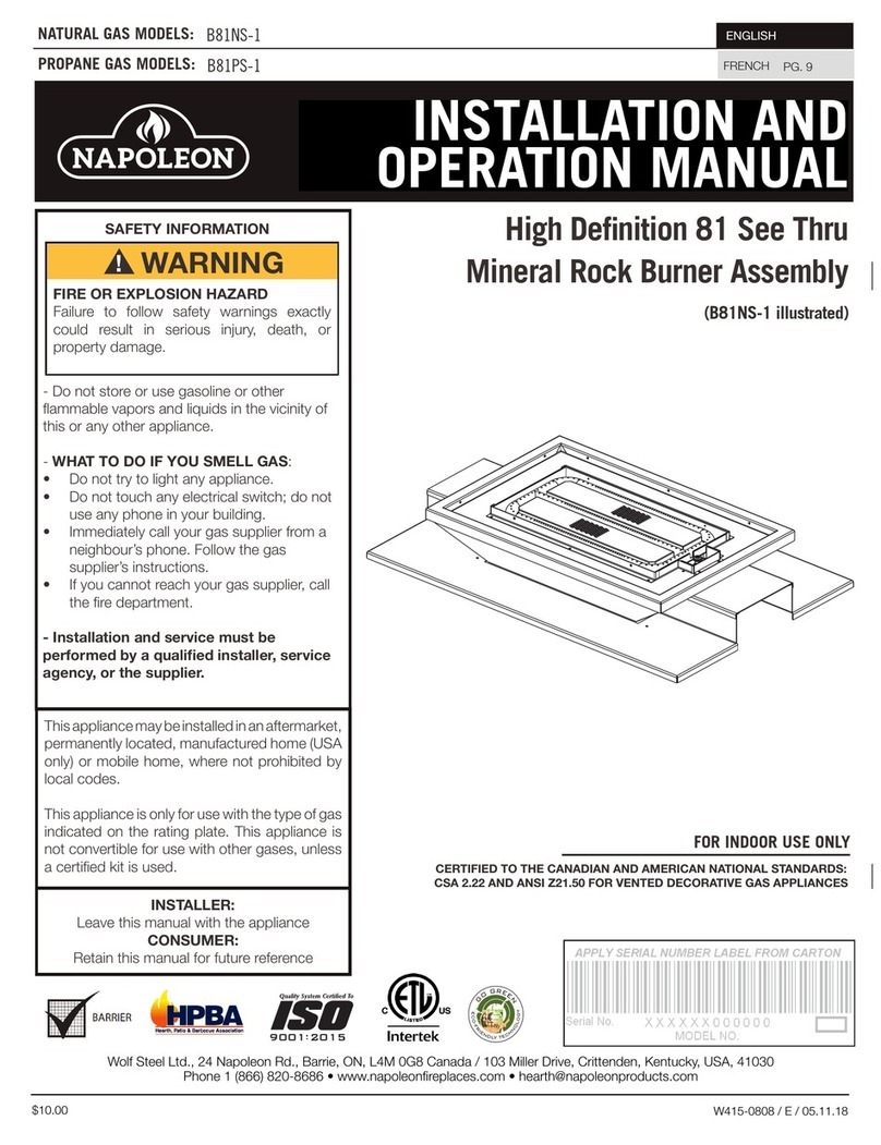 Napoleon B81NS-1 Installation and operation manual