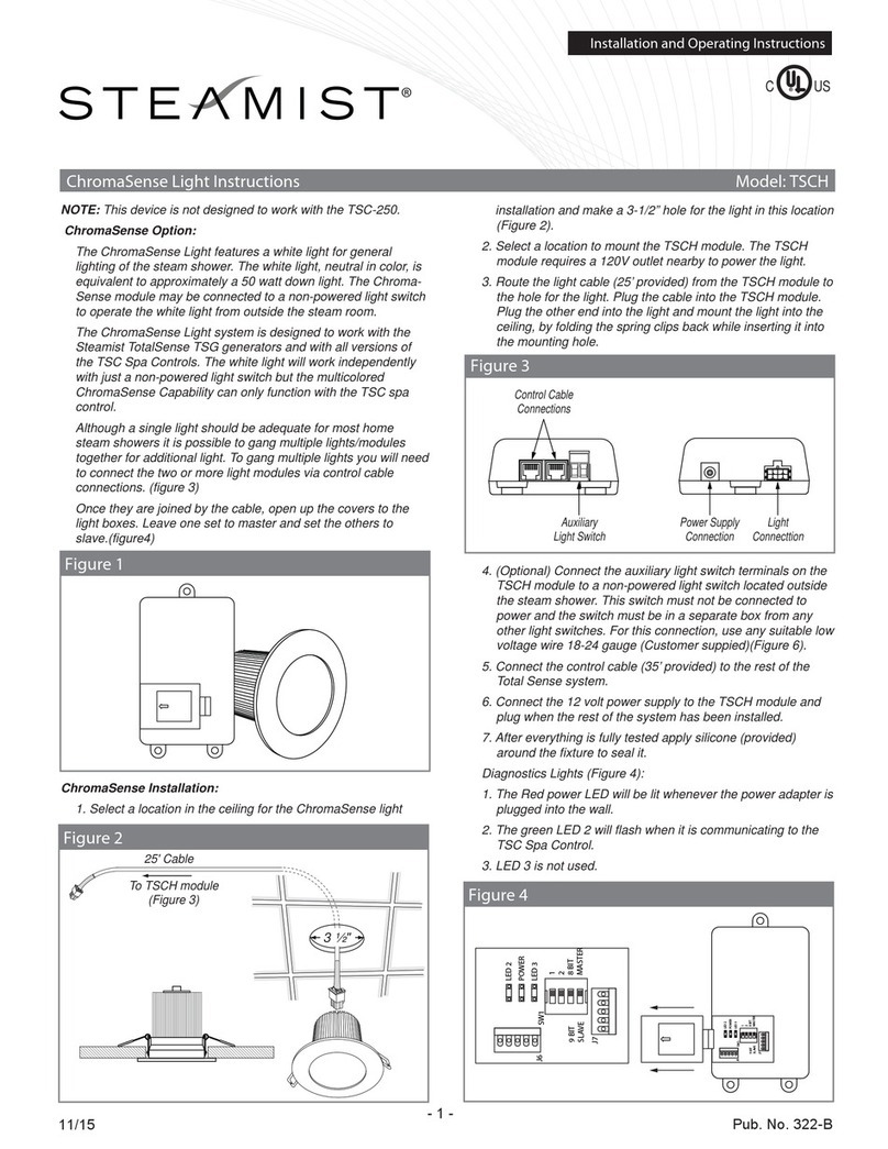 Steamist TSCH Installation and operating instructions