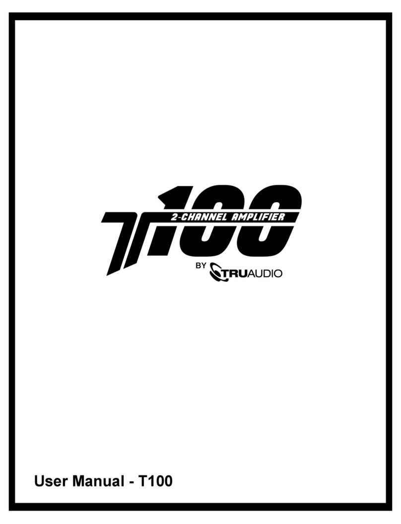 TRU Audio T100 User manual