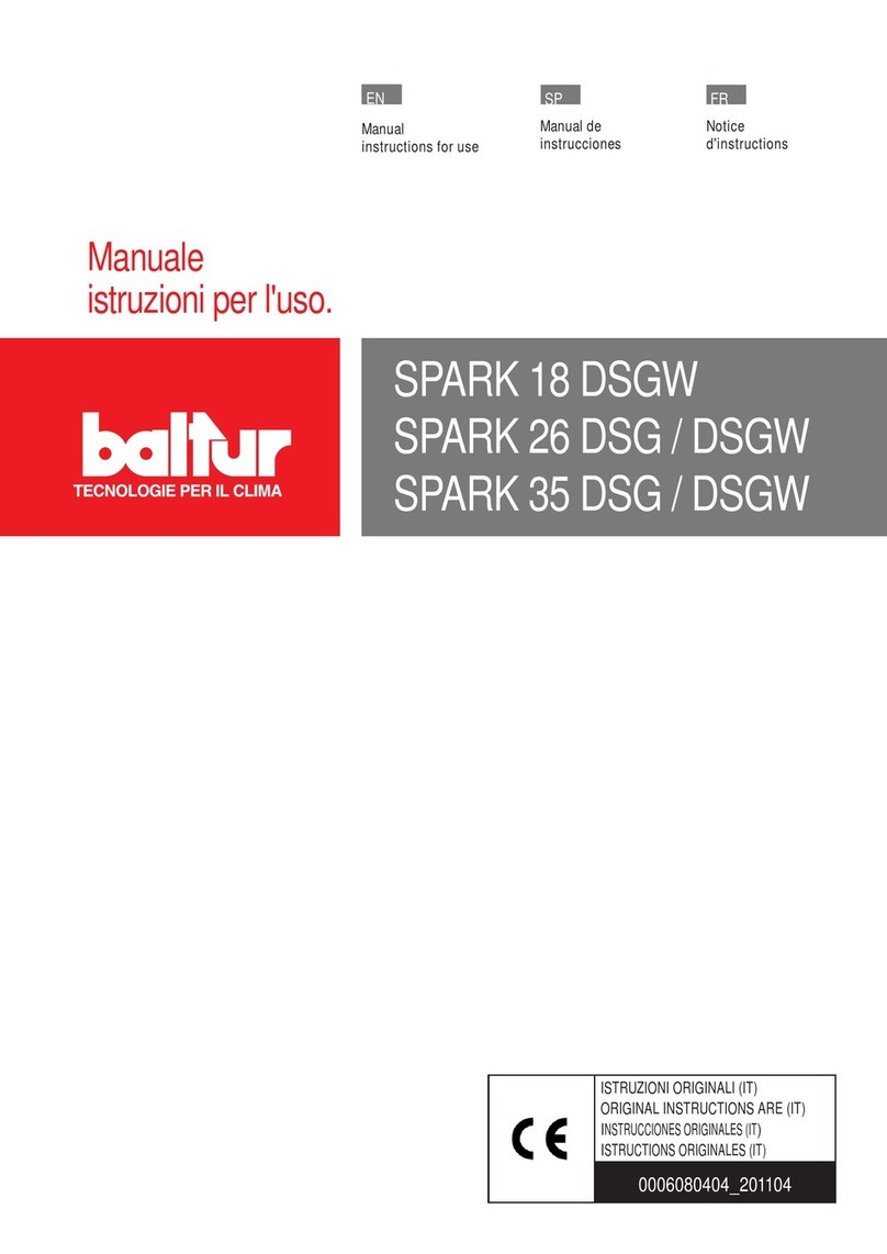 baltur Spark 18 DSGW instruction manual