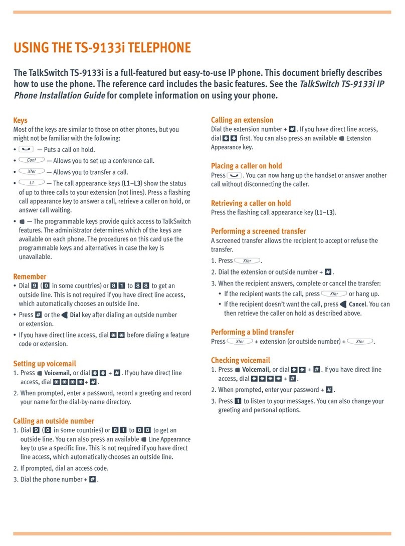 Talkswitch TS-9133i Datasheet