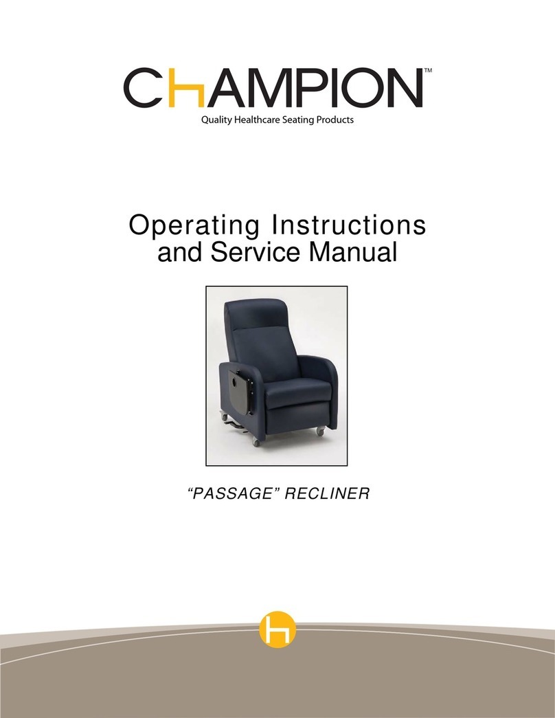 Champion PASSAGE Troubleshooting guide Champion PASSAGE Troubleshooting guide