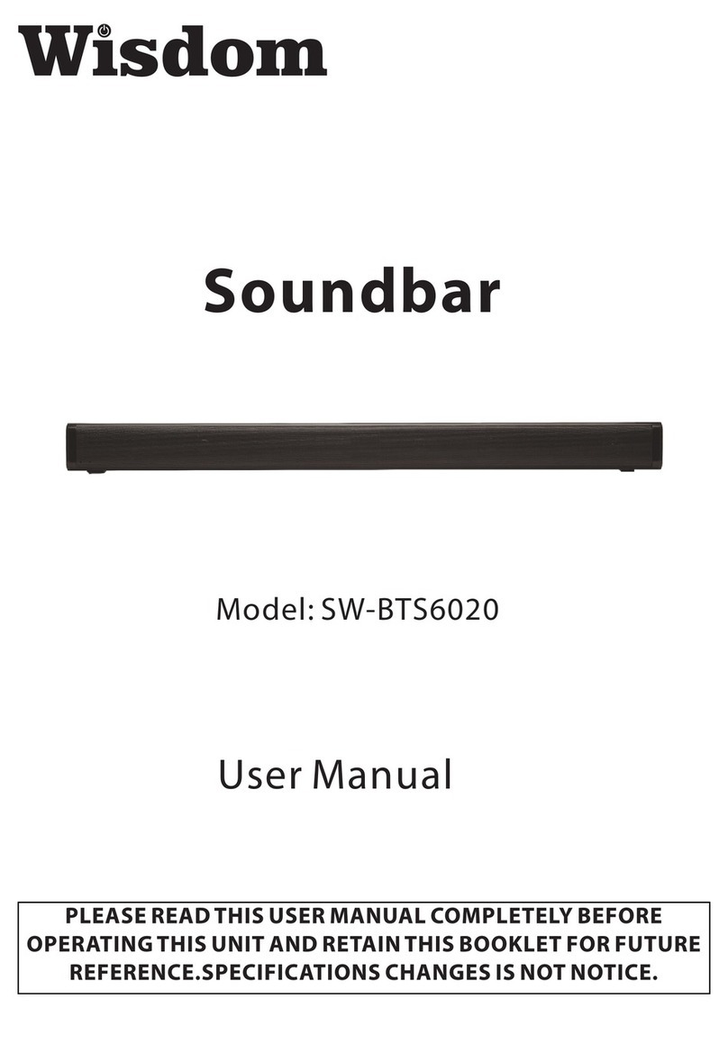 Wisdom SW-BTS6020 user manual