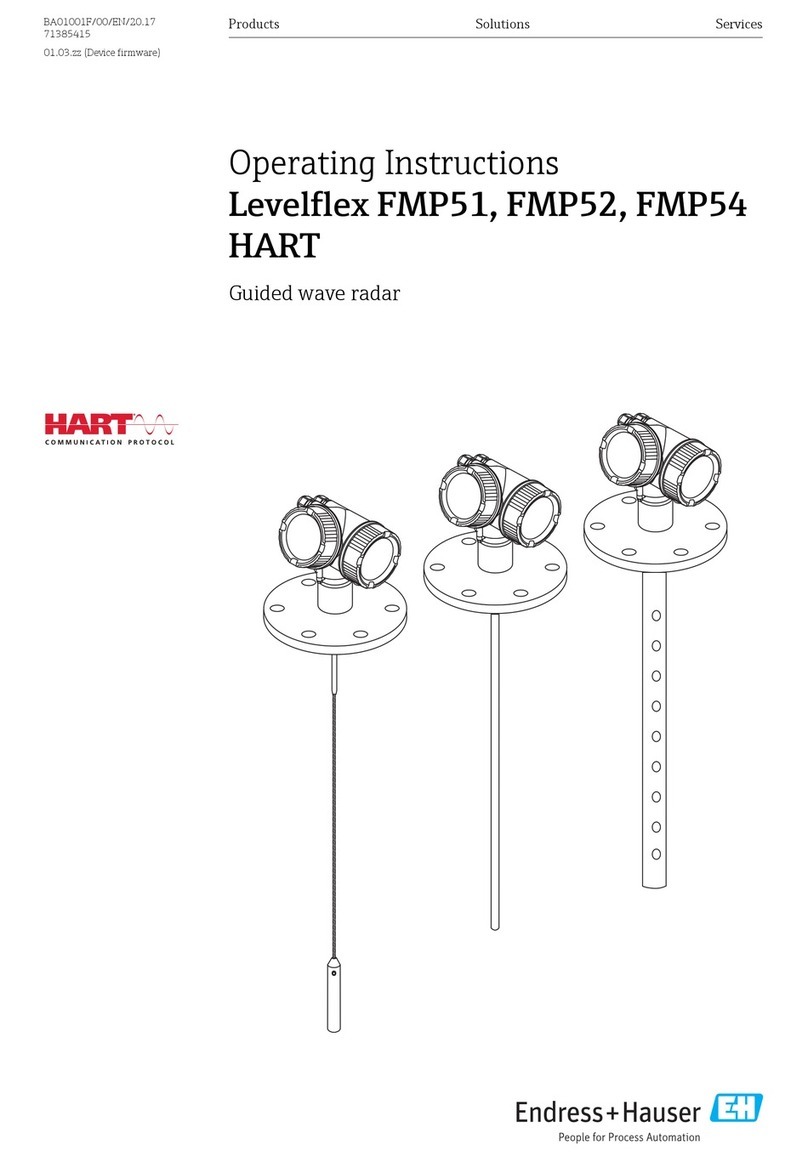 Endress+Hauser Levelflex FMP51 operating instructions