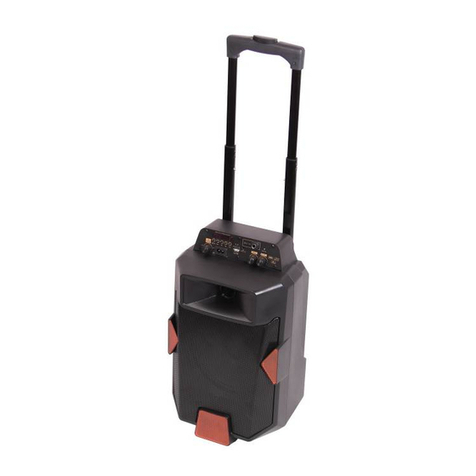 Laser SPK-F200 Quick user guide