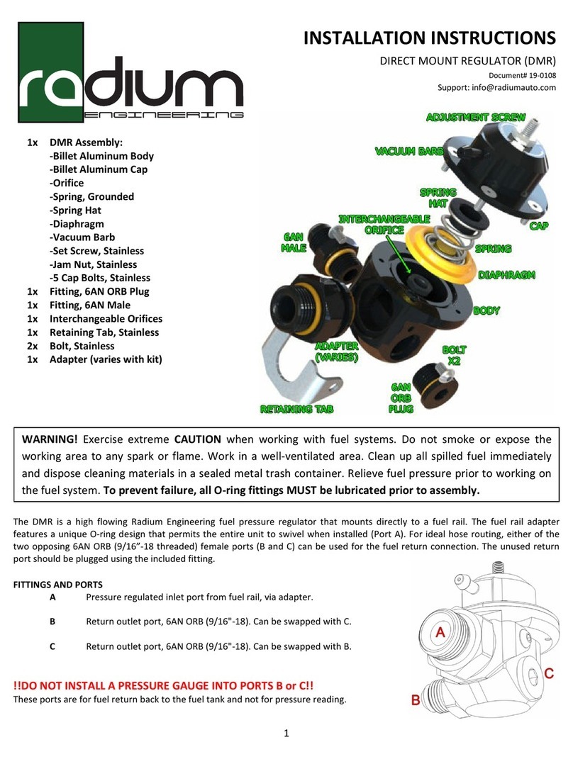 Radium DMR installation instructions