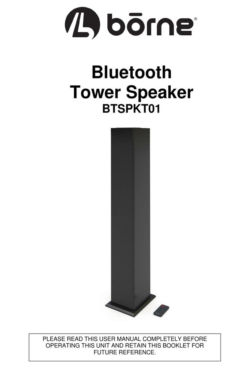borne BTSPKT01 user manual