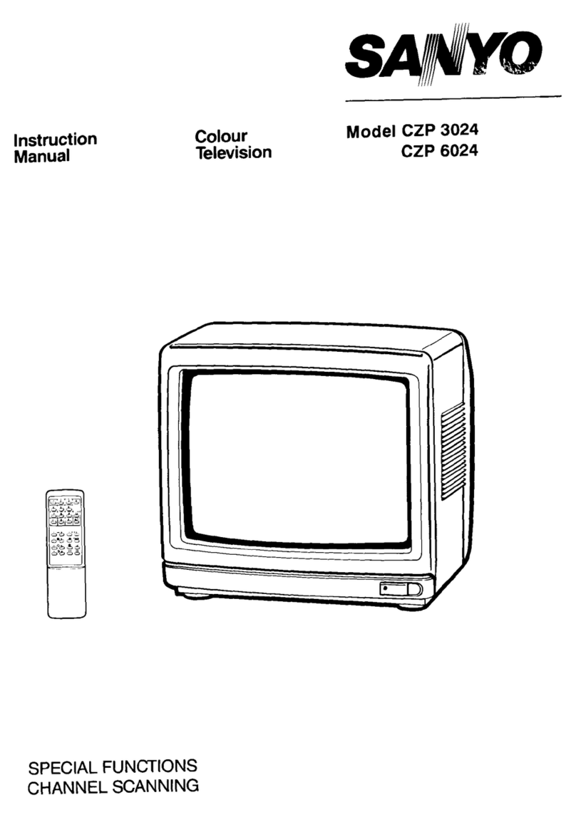 Sanyo CZP3024 User manual Sanyo CZP3024 User manual