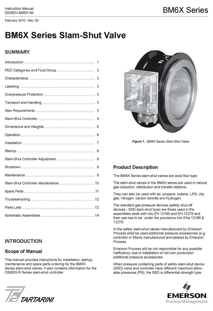 Emerson BM6X Series User manual