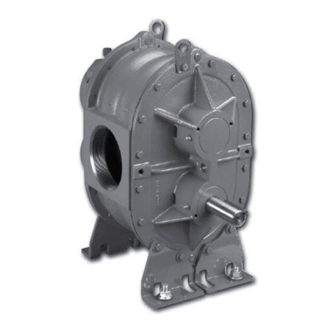 Howden Roots Universal RAI Series Installation, operation and maintenance manual