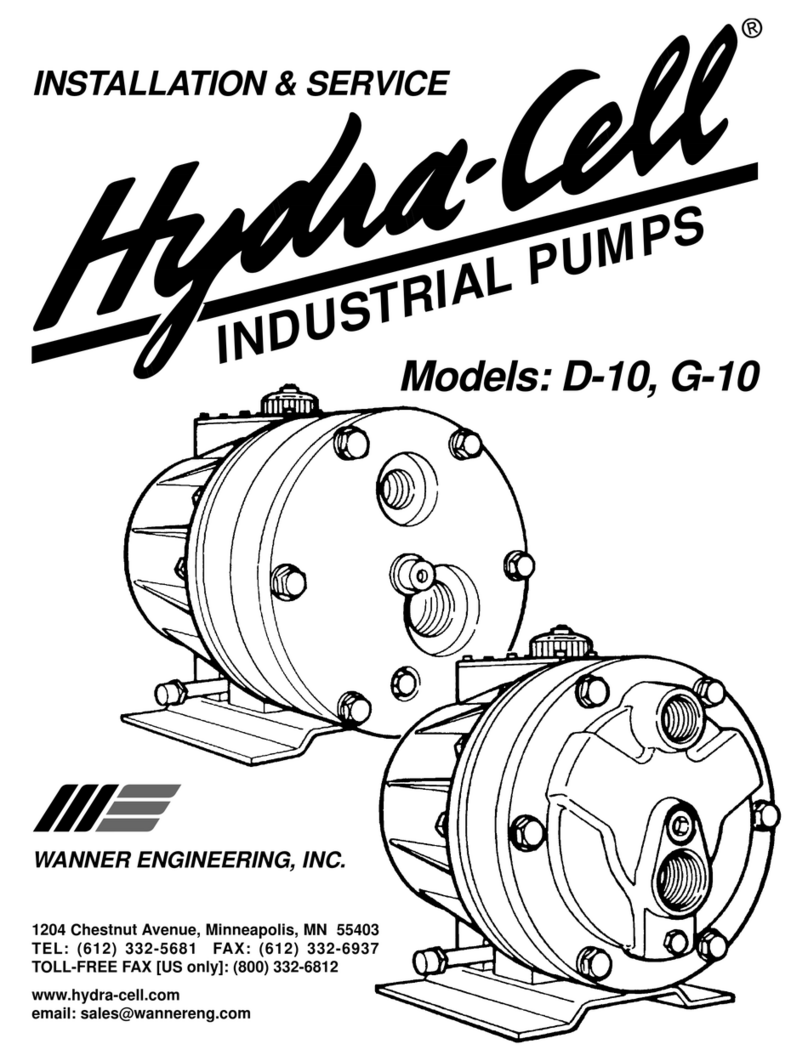 Wanner Engineering Hydra-Cell G-10 Installation service