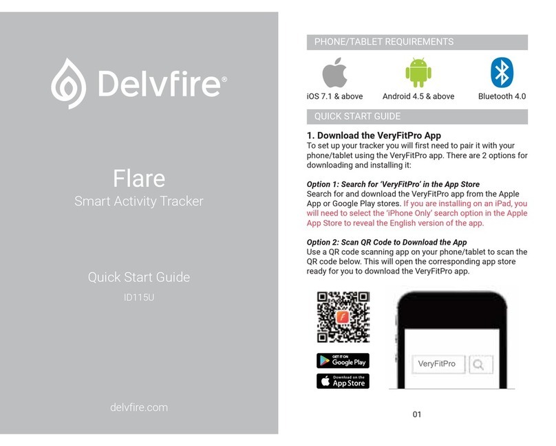 Delvfire Flare quick start guide