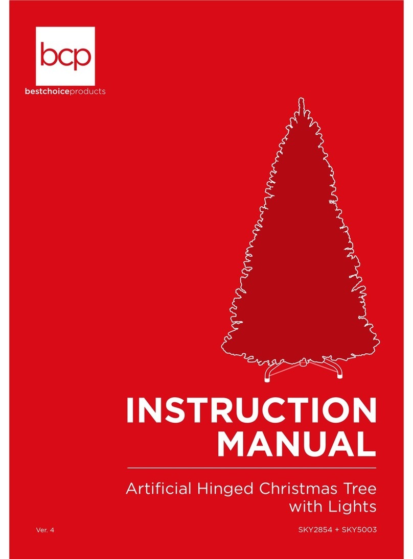 BCP SKY2854 User manual